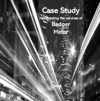 Remedian IT Support | Badger Case Study