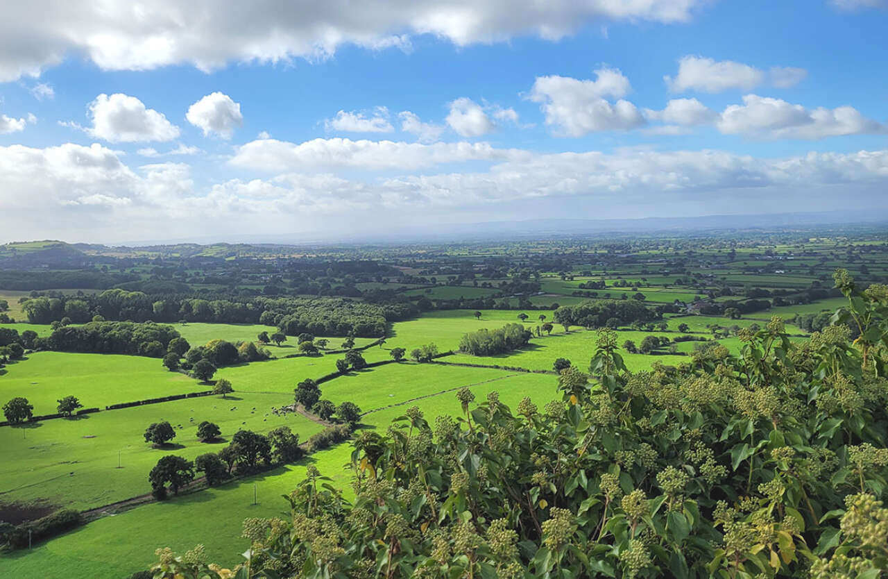 IT Services Cheshire | Remedian IT